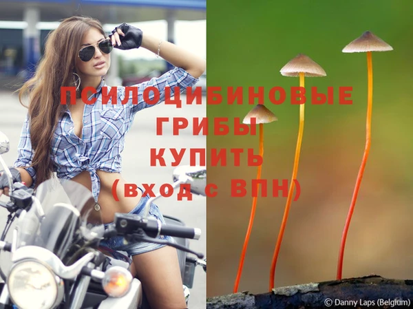 каннабис Михайловка