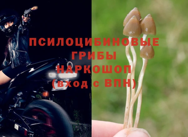 каннабис Михайловка