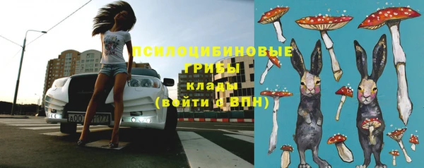 мескалин Михайлов