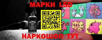 бошки Гатчина