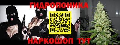 бошки Гатчина