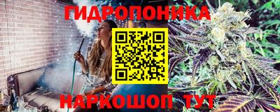 бошки Гатчина