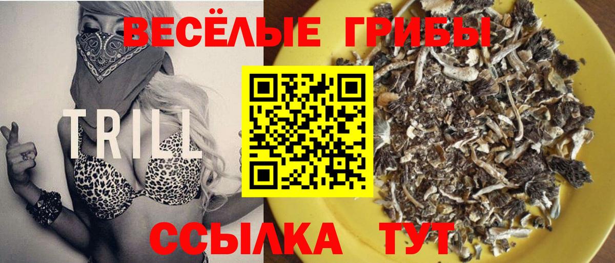 Галлюциногенные грибы Psilocybine cubensis  Алатырь 