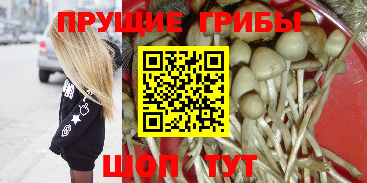 Алатырь  Псилоцибиновые грибы Cubensis  Вход с VPN 